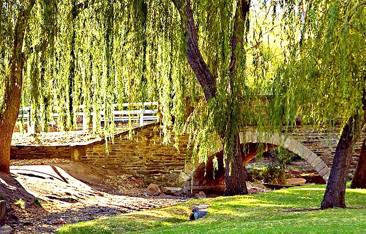 Hidden BBQ spots around Australia • mitcham reserve